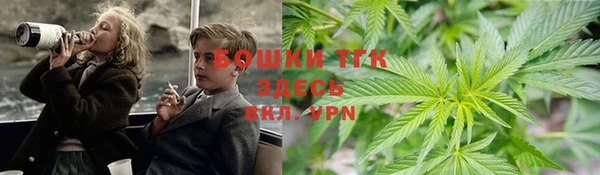 дживик Пересвет