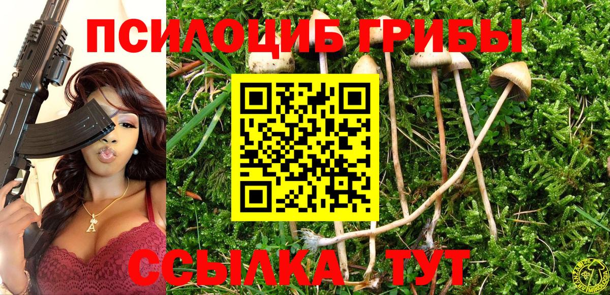 Анапа  Псилоцибиновые грибы мухоморы  Вход с VPN 