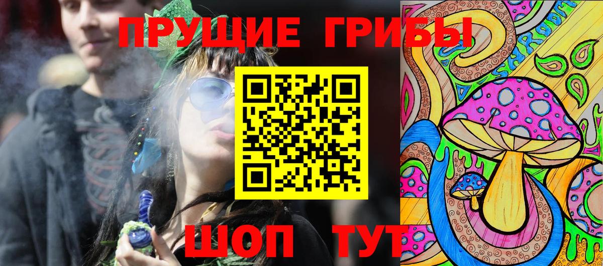 Галлюциногенные грибы Psilocybine cubensis Анапа