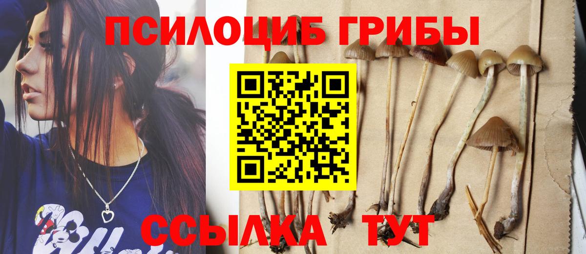 дарнет шоп  Анапа  Галлюциногенные грибы прущие грибы  Галлюциногенные грибы MAGIC MUSHROOMS 
